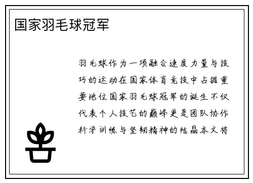 国家羽毛球冠军