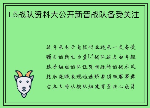 L5战队资料大公开新晋战队备受关注