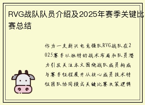 RVG战队队员介绍及2025年赛季关键比赛总结